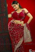 95178_after-roma_very_hot_in_saree.