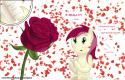 9543one_rose_to_a_rose_by_grivous-d4ev24a.