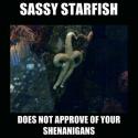 9651_cool-sassy-starfish-sea.