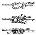 99384_knot4.