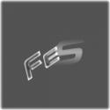 9941fes_logo.